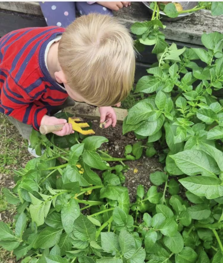 Nurturing environment